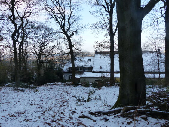 Blick auf das Vereins aus unserem Wald