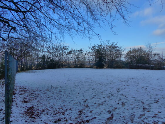 Waldplatz oberhalb des Vereinshaus